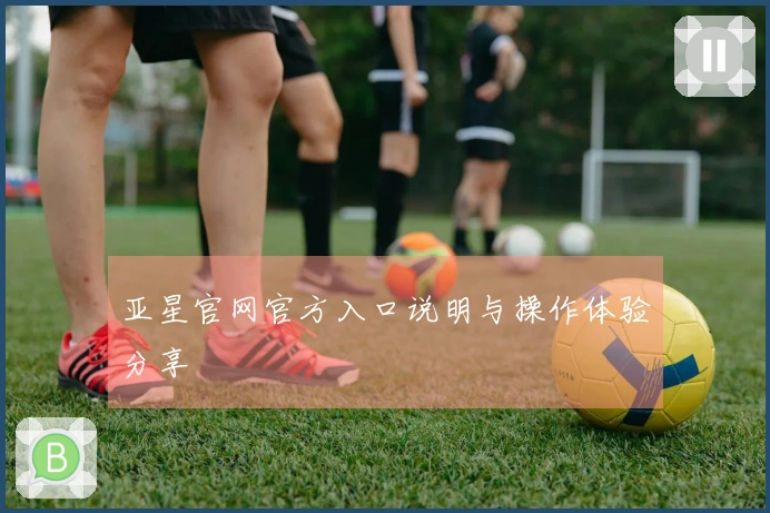 亚星官网官方入口说明与操作体验分享